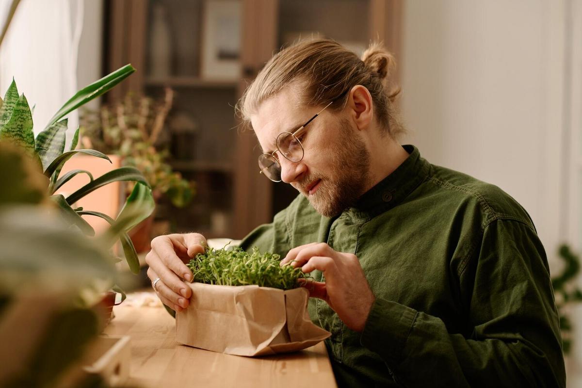 Plant-Based Diets: A Comprehensive Guide to Sustainable Eating